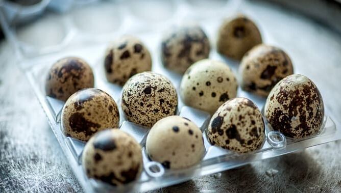 quail eggs for strength